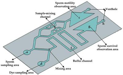 A Sperm Quality Detection System Based on Microfluidic Chip and Micro-Imaging System